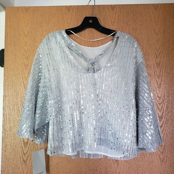 ZARA Silver Mirror Sequin Dolman Sleeve Flowy Top - Picture 5 of 8